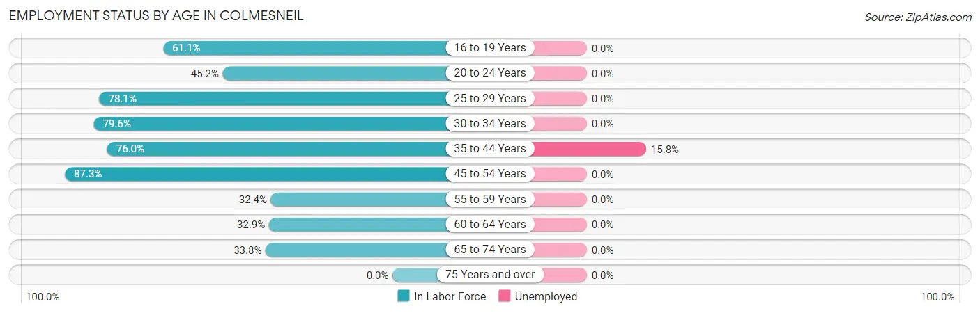 Employment Status by Age in Colmesneil