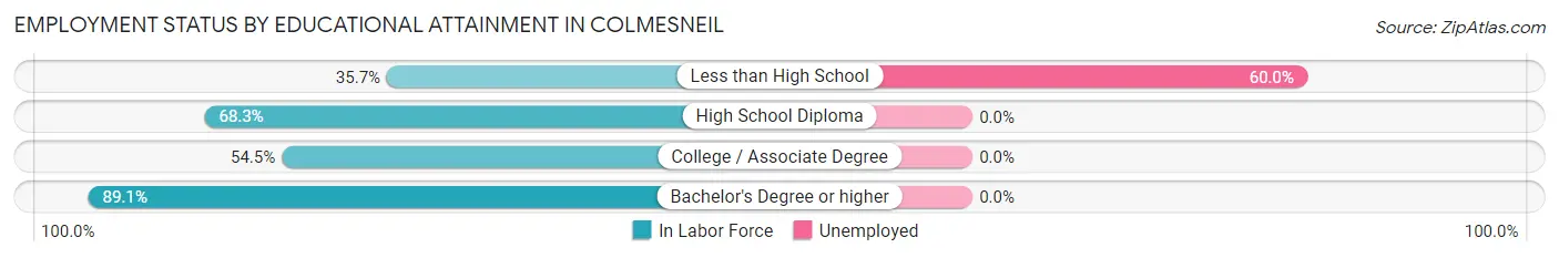 Employment Status by Educational Attainment in Colmesneil