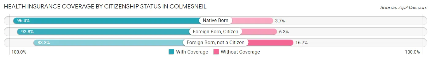 Health Insurance Coverage by Citizenship Status in Colmesneil