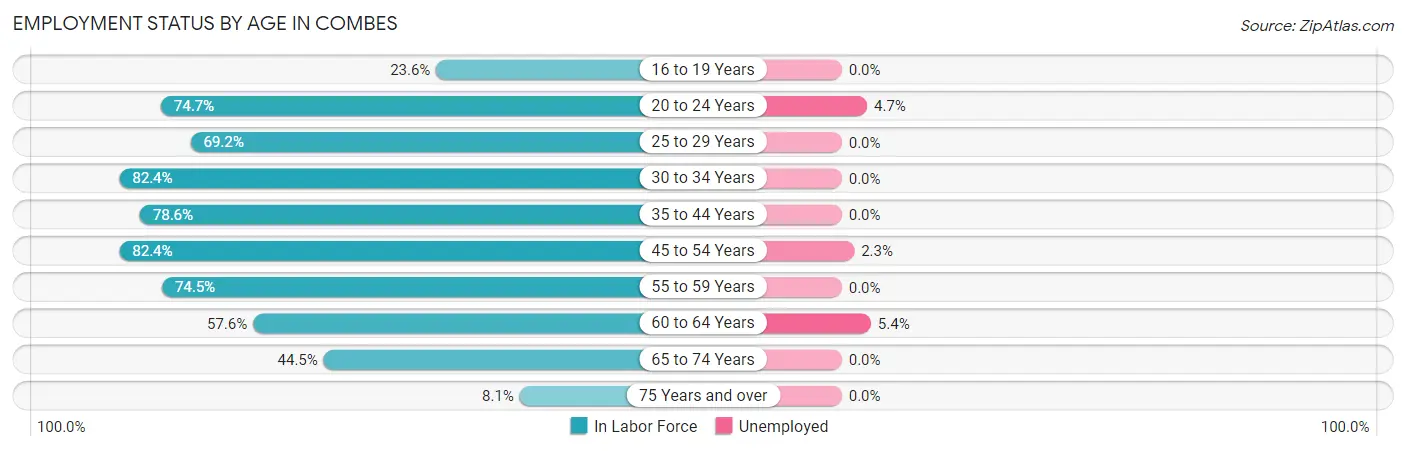 Employment Status by Age in Combes