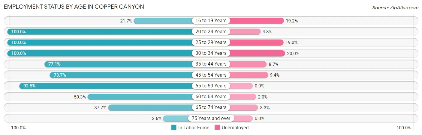 Employment Status by Age in Copper Canyon