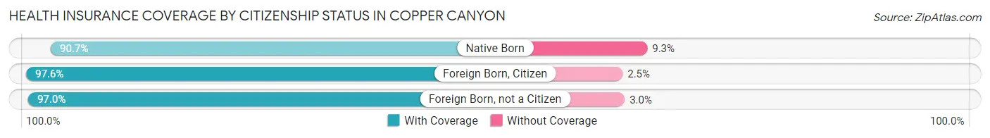Health Insurance Coverage by Citizenship Status in Copper Canyon