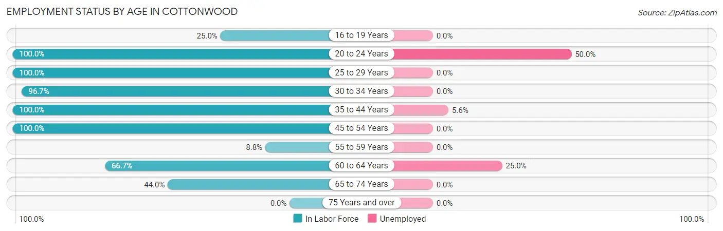 Employment Status by Age in Cottonwood