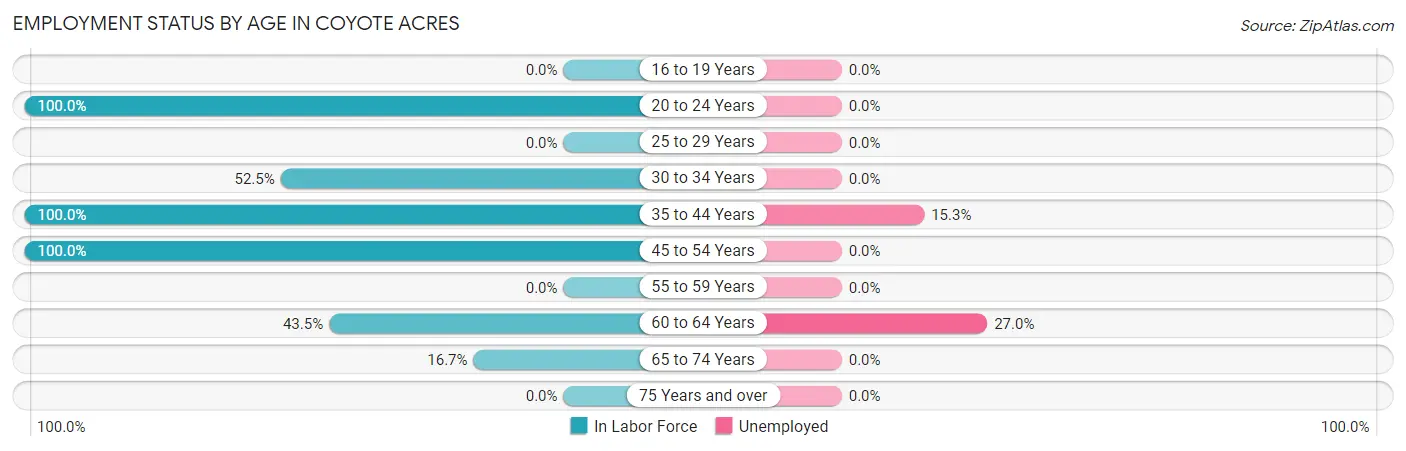 Employment Status by Age in Coyote Acres