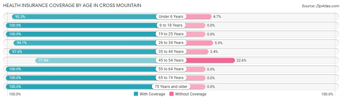 Health Insurance Coverage by Age in Cross Mountain