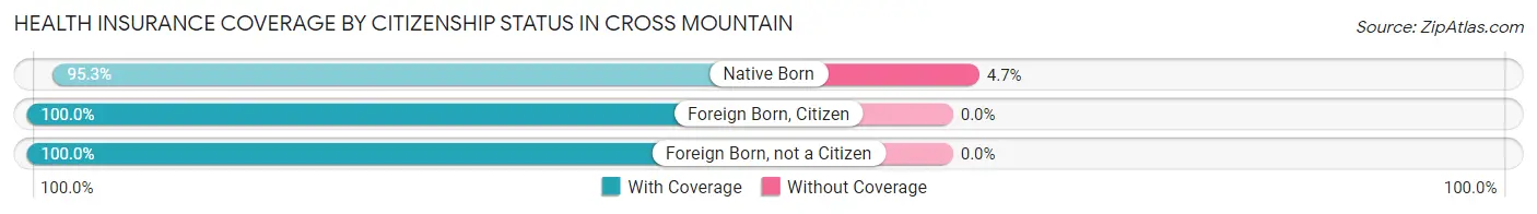 Health Insurance Coverage by Citizenship Status in Cross Mountain