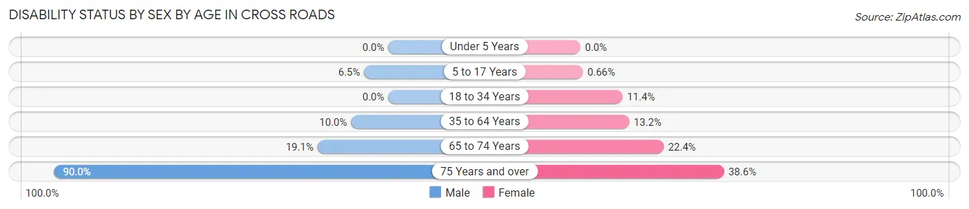 Disability Status by Sex by Age in Cross Roads