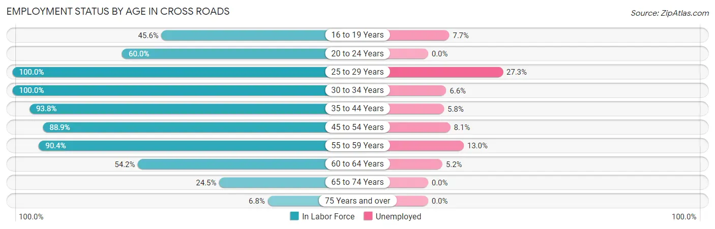 Employment Status by Age in Cross Roads