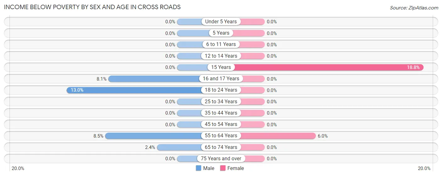 Income Below Poverty by Sex and Age in Cross Roads