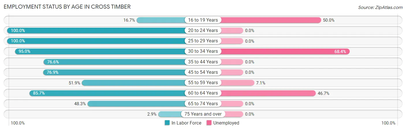 Employment Status by Age in Cross Timber