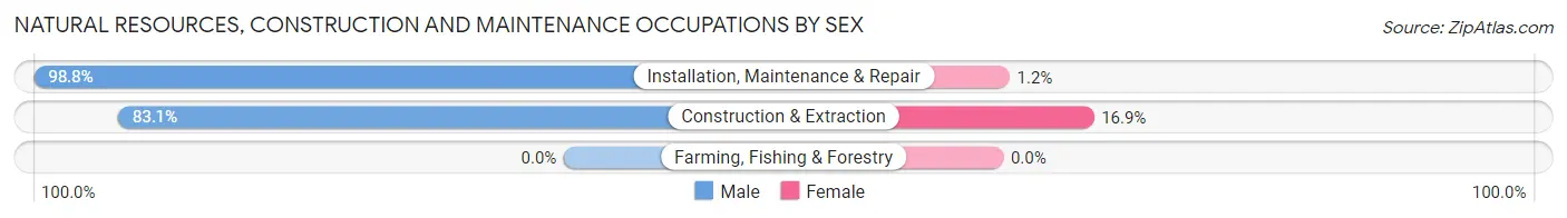 Natural Resources, Construction and Maintenance Occupations by Sex in Crowley