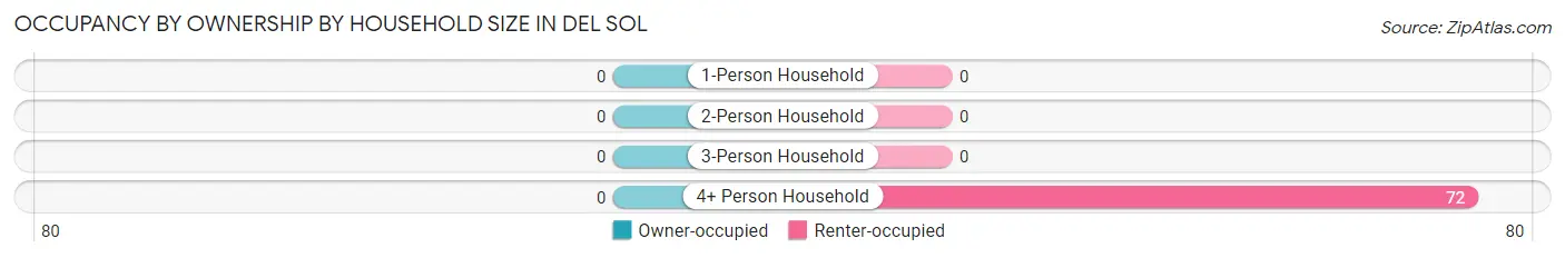 Occupancy by Ownership by Household Size in Del Sol