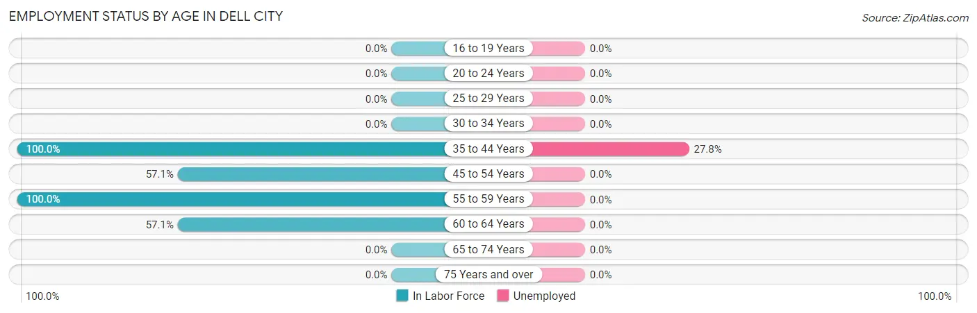 Employment Status by Age in Dell City