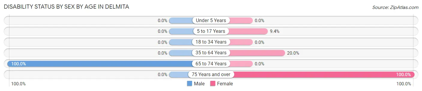 Disability Status by Sex by Age in Delmita