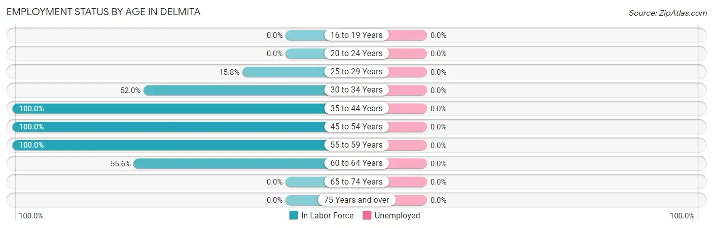 Employment Status by Age in Delmita