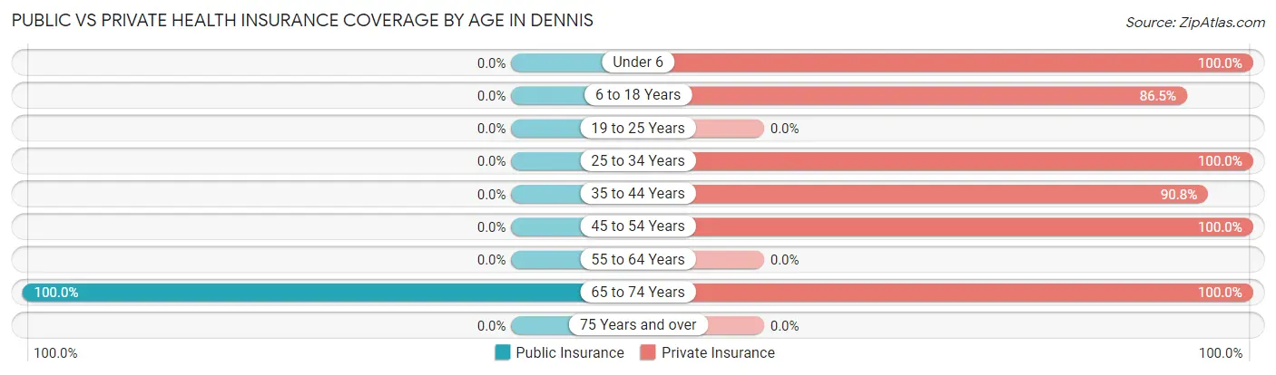 Public vs Private Health Insurance Coverage by Age in Dennis