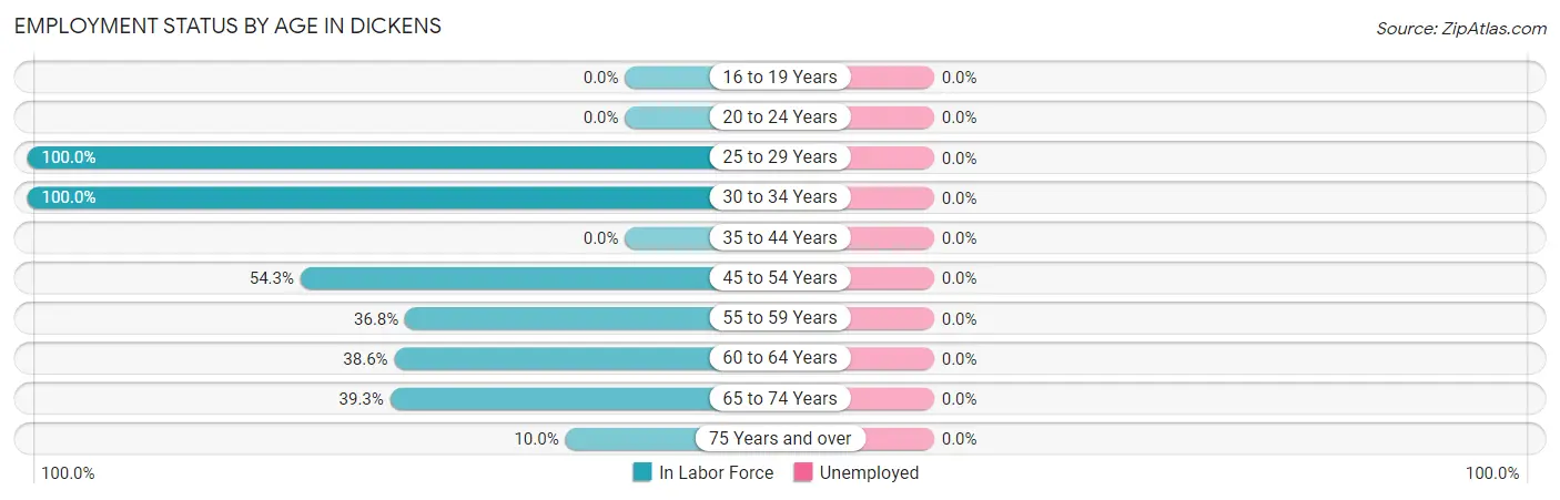 Employment Status by Age in Dickens