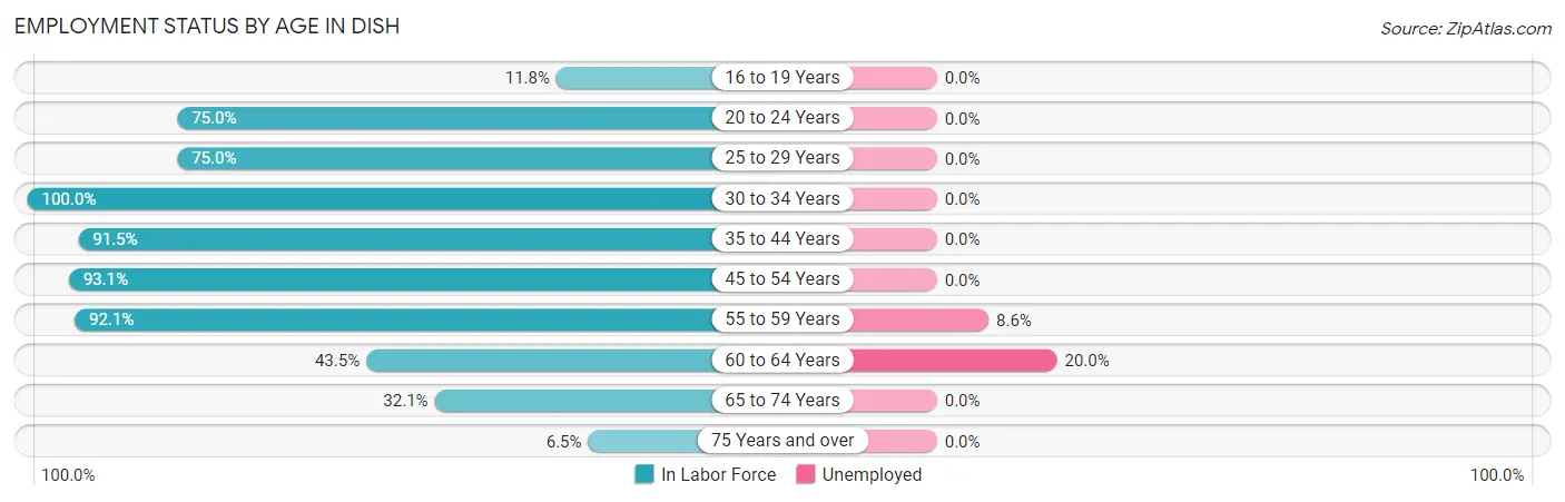Employment Status by Age in DISH