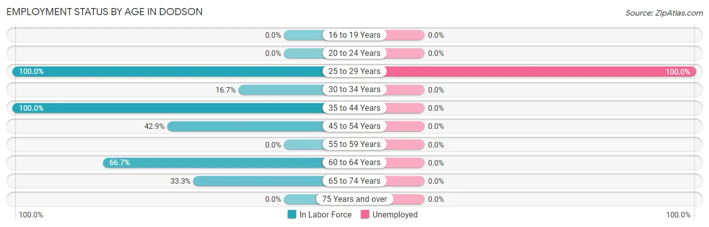 Employment Status by Age in Dodson