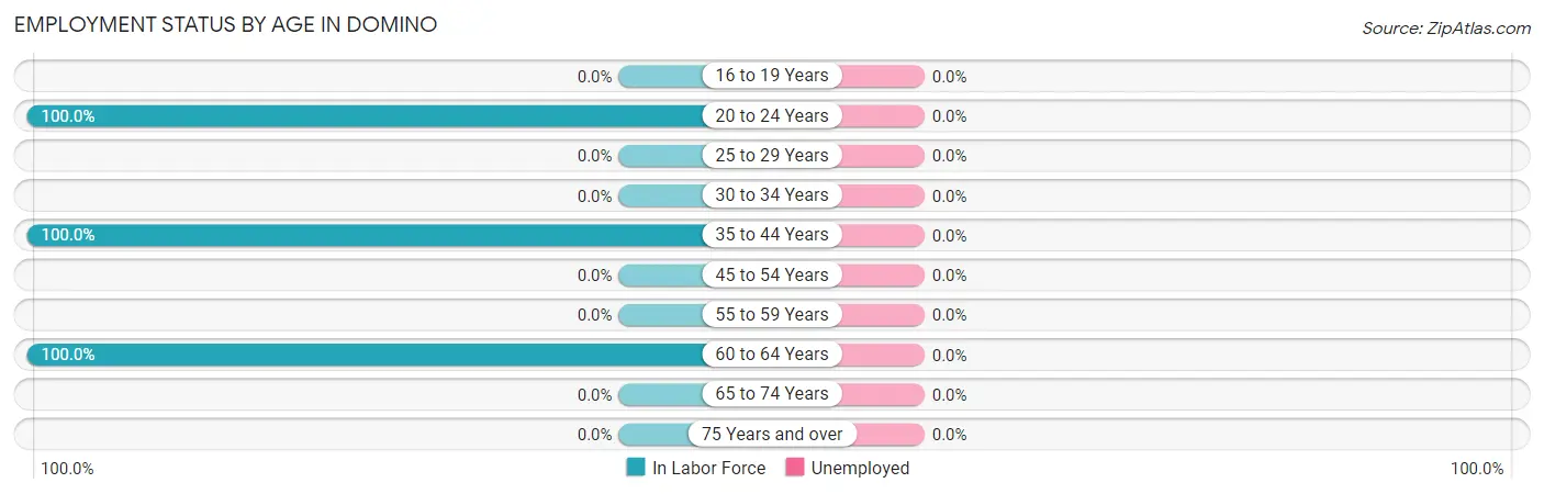 Employment Status by Age in Domino