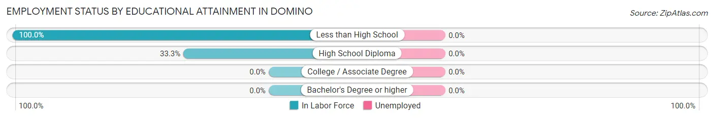 Employment Status by Educational Attainment in Domino
