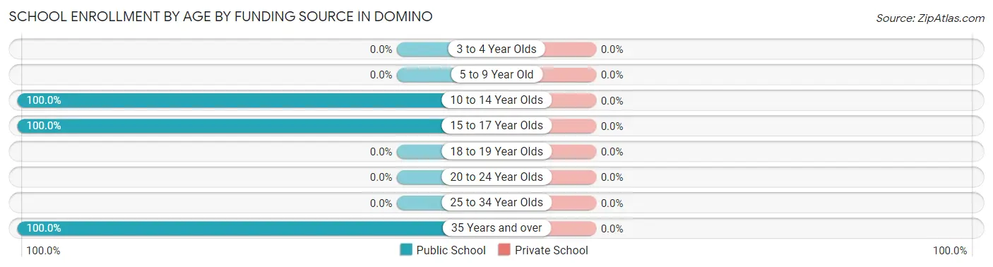 School Enrollment by Age by Funding Source in Domino