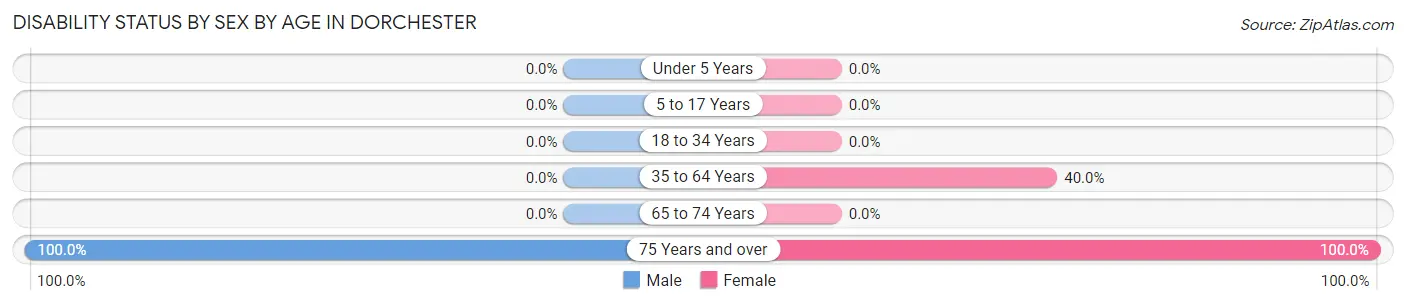 Disability Status by Sex by Age in Dorchester
