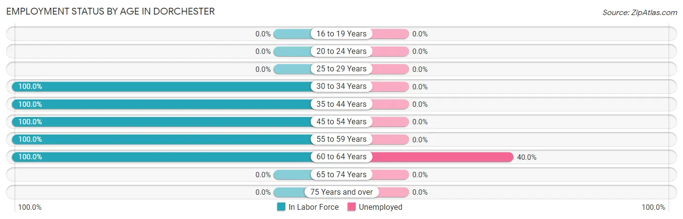 Employment Status by Age in Dorchester