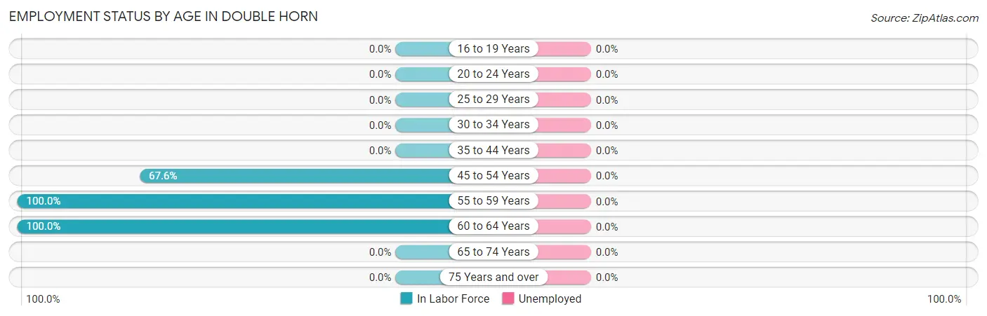 Employment Status by Age in Double Horn