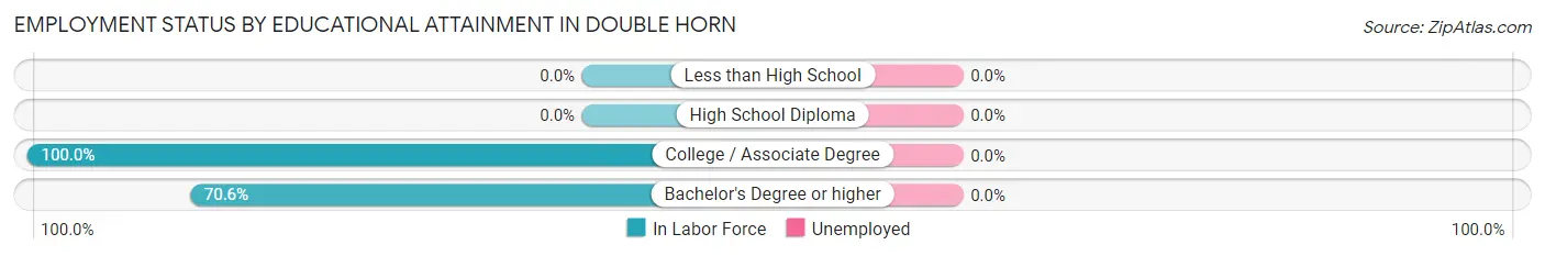 Employment Status by Educational Attainment in Double Horn