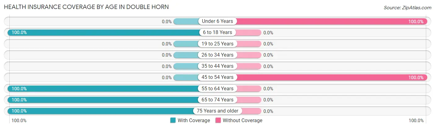 Health Insurance Coverage by Age in Double Horn