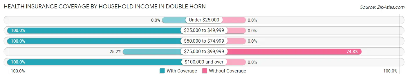 Health Insurance Coverage by Household Income in Double Horn