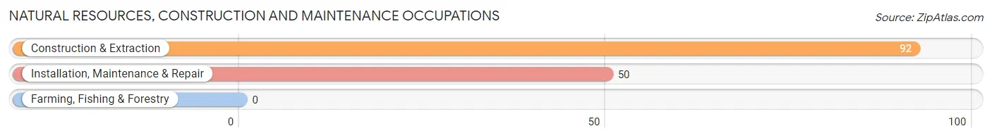 Natural Resources, Construction and Maintenance Occupations in Dripping Springs