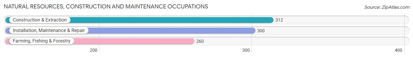 Natural Resources, Construction and Maintenance Occupations in Dumas