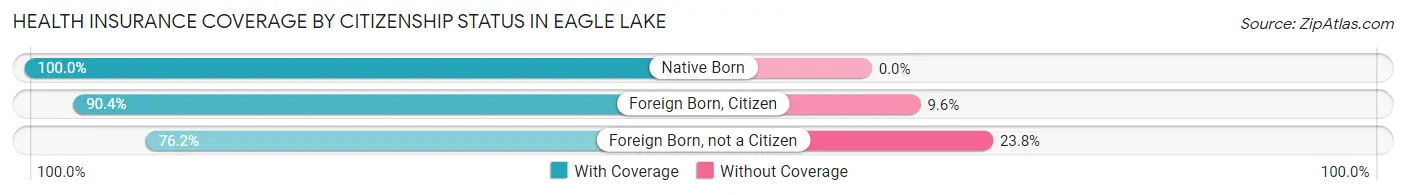 Health Insurance Coverage by Citizenship Status in Eagle Lake