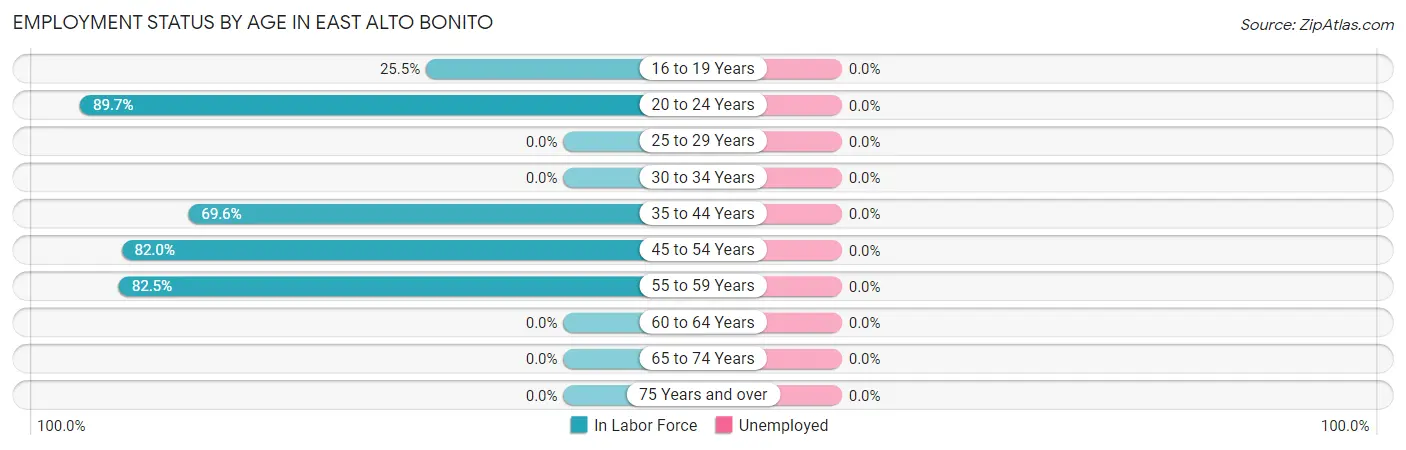 Employment Status by Age in East Alto Bonito