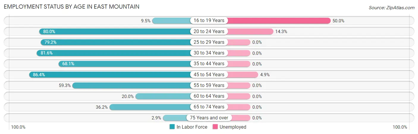 Employment Status by Age in East Mountain