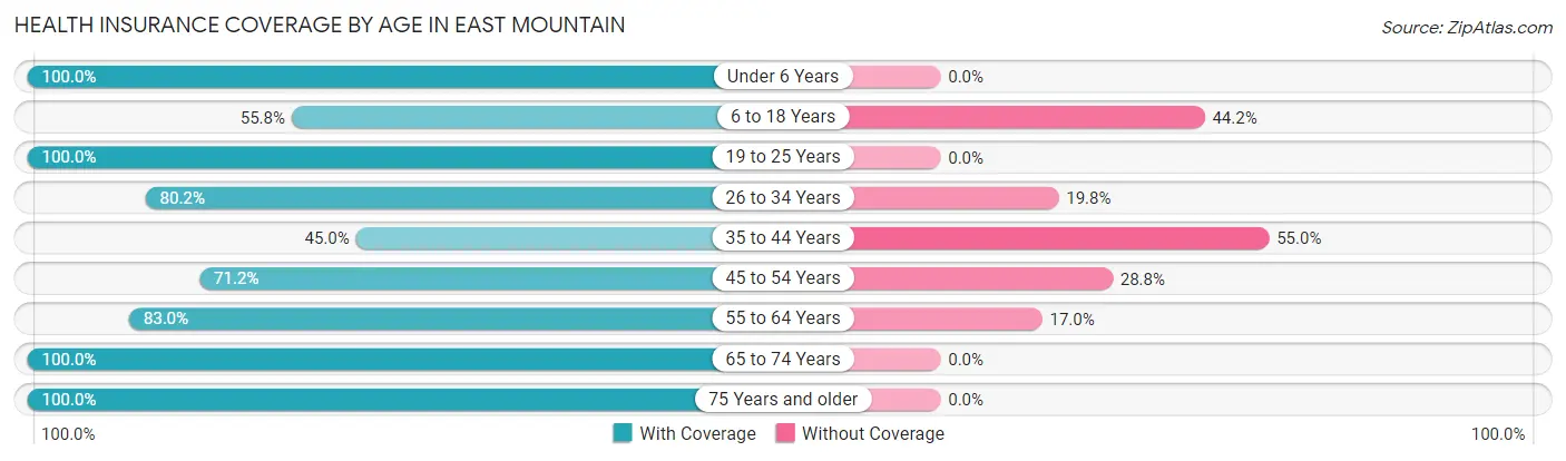 Health Insurance Coverage by Age in East Mountain