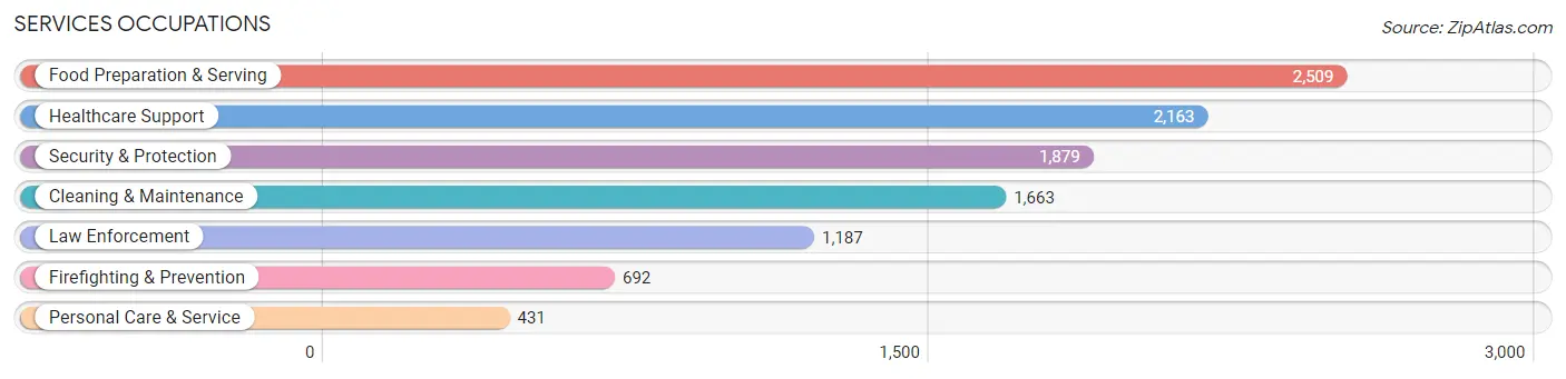 Services Occupations in Edinburg