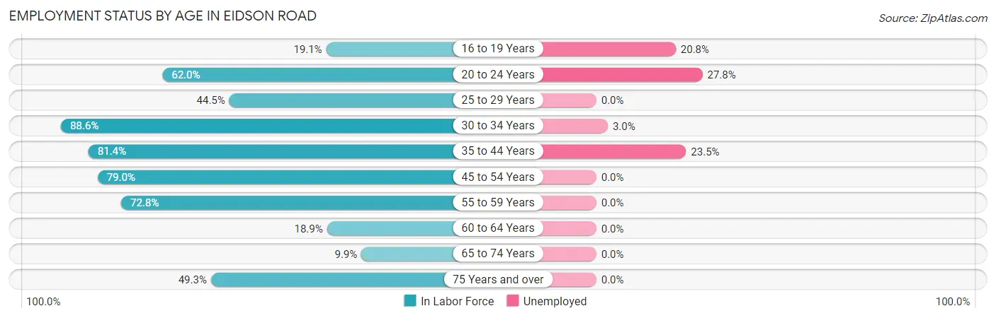 Employment Status by Age in Eidson Road
