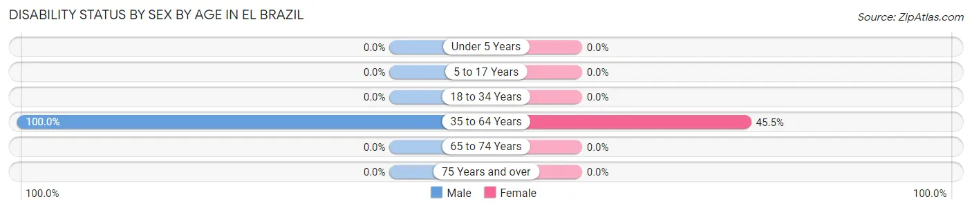 Disability Status by Sex by Age in El Brazil