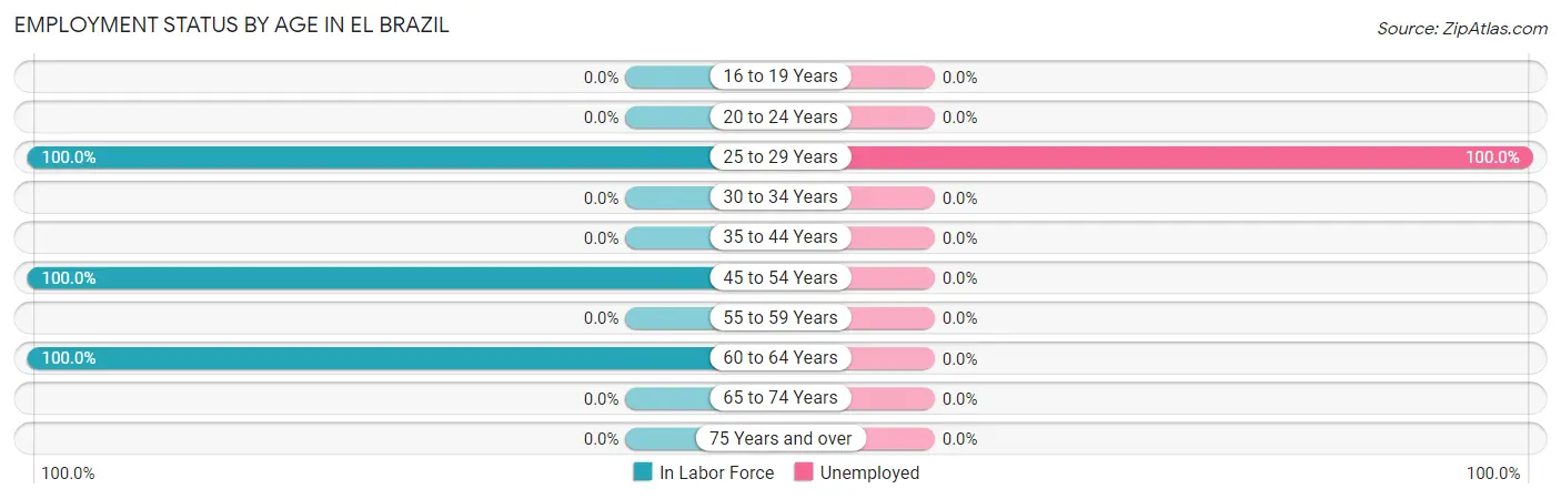 Employment Status by Age in El Brazil