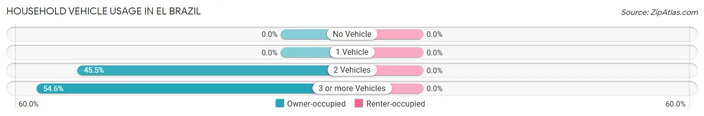 Household Vehicle Usage in El Brazil