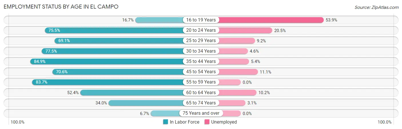 Employment Status by Age in El Campo