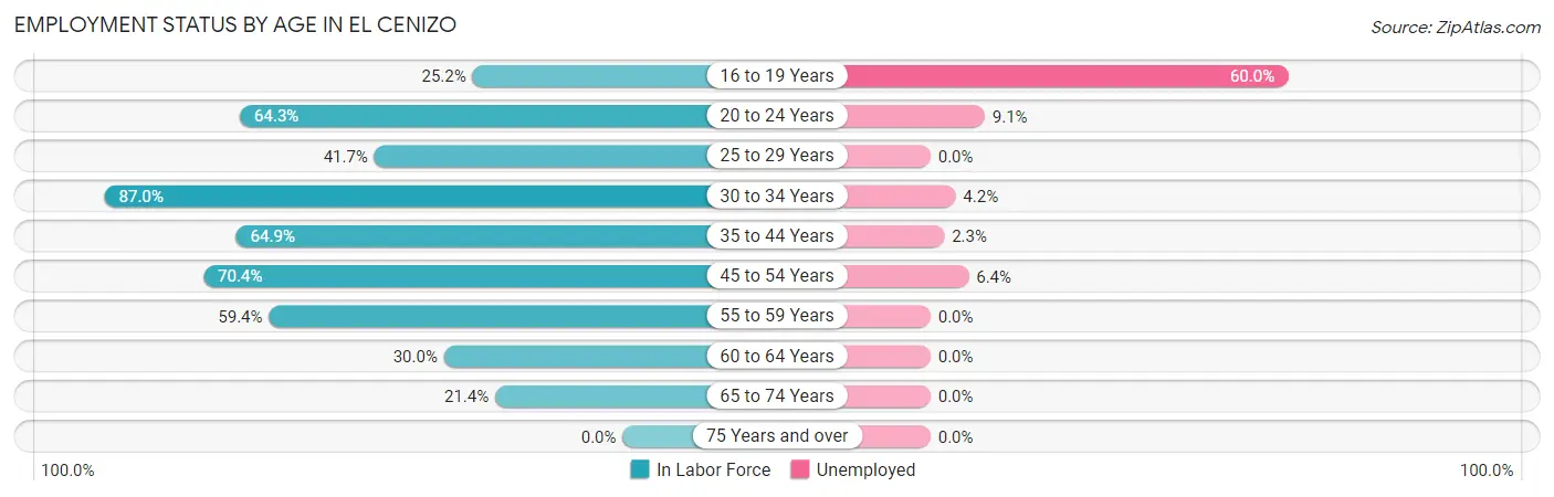 Employment Status by Age in El Cenizo