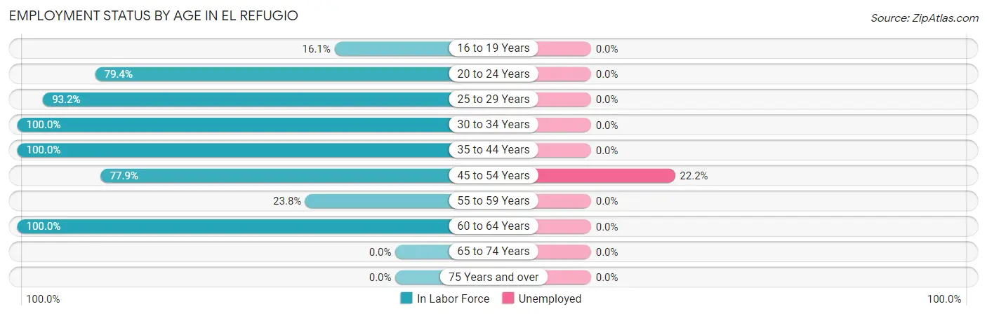 Employment Status by Age in El Refugio