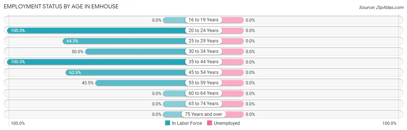 Employment Status by Age in Emhouse