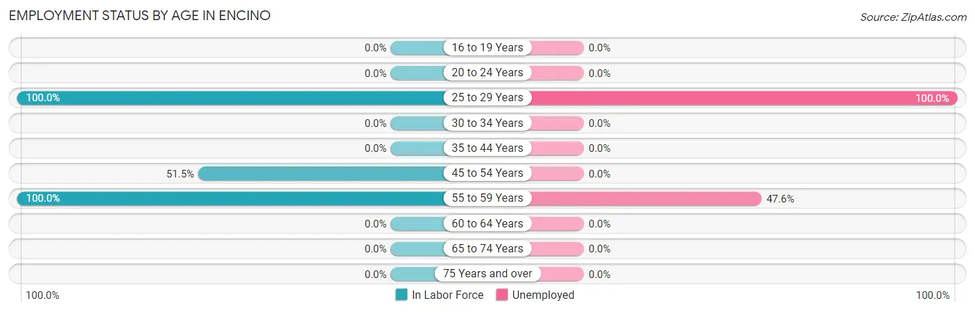 Employment Status by Age in Encino
