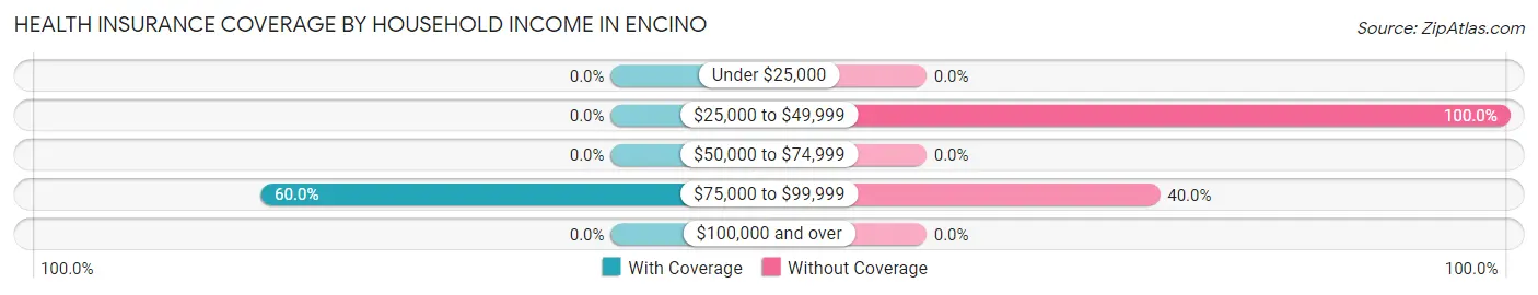 Health Insurance Coverage by Household Income in Encino