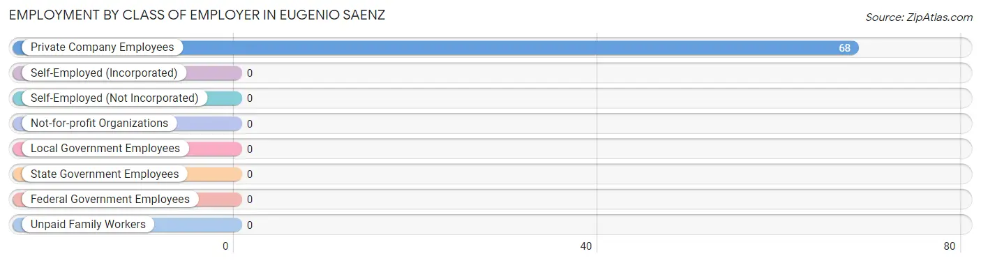 Employment by Class of Employer in Eugenio Saenz